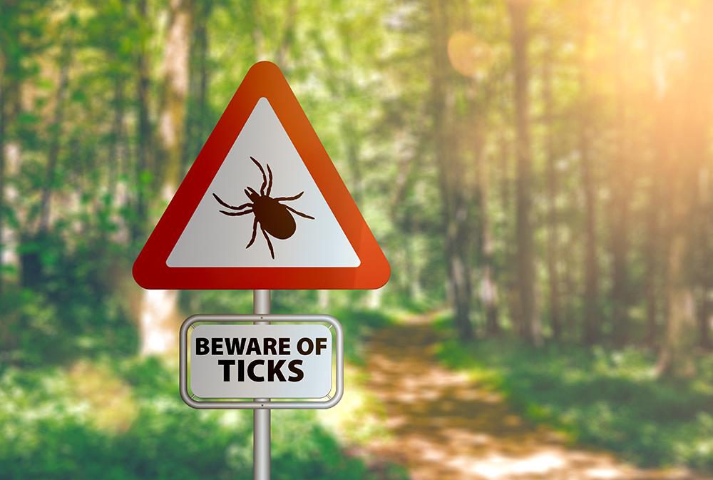 A Lesser-Known, But More Serious Tick-Borne Illness is Surging. Here’s How to Protect Yourself