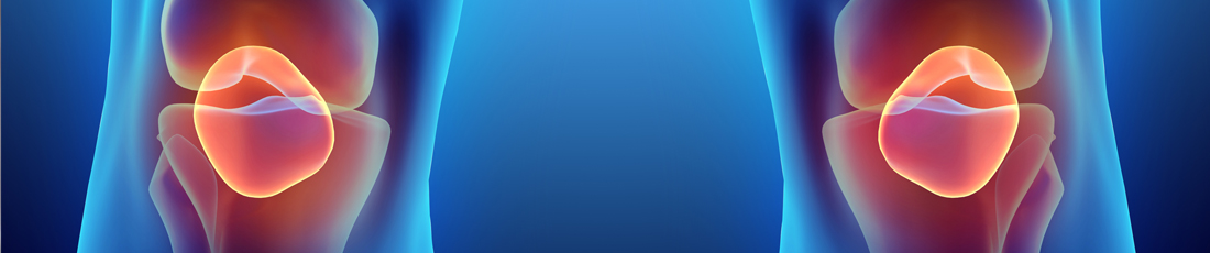 Rheumatology Fellowship Program