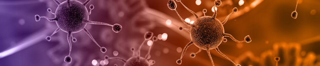 Infectious Diseases Fellowship Program