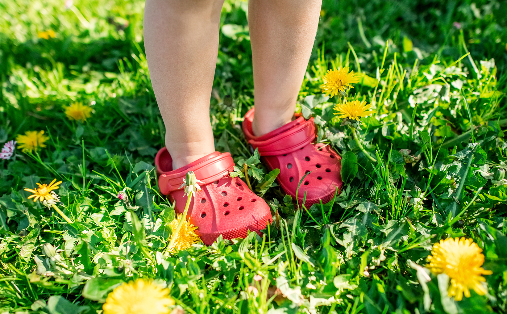 Child's legs, grass and flowers in a summer day